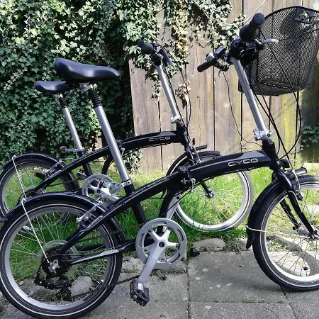 Sami Swoi * Виселка