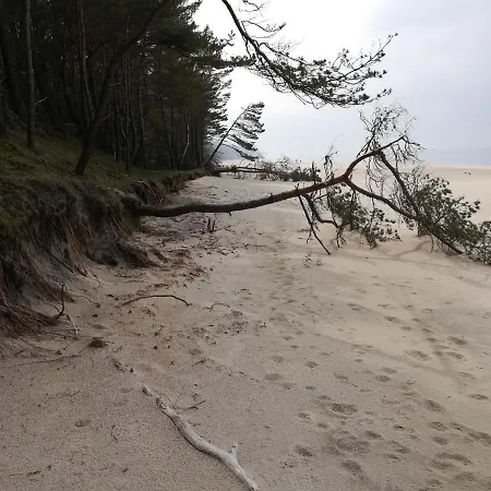 Sami Swoi Дом отдыха *