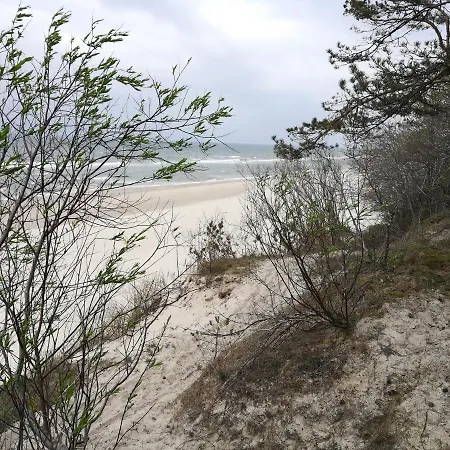 Sami Swoi Виселка